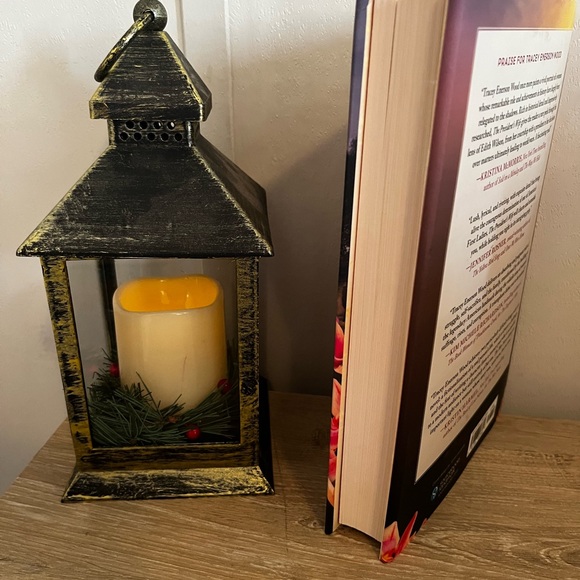 The President’s Wife By Tracey Enerson Wood - Picture 5 of 5